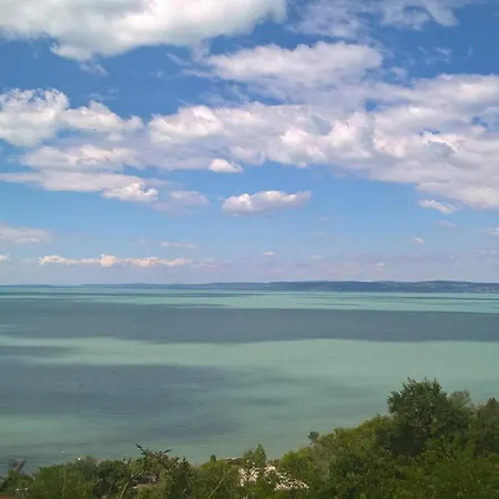 Magyar Tenger Pihenohaz, For 2-8 Person, 105 M2, Garden, Pool, Free Parking, 5 Min From The Lake,